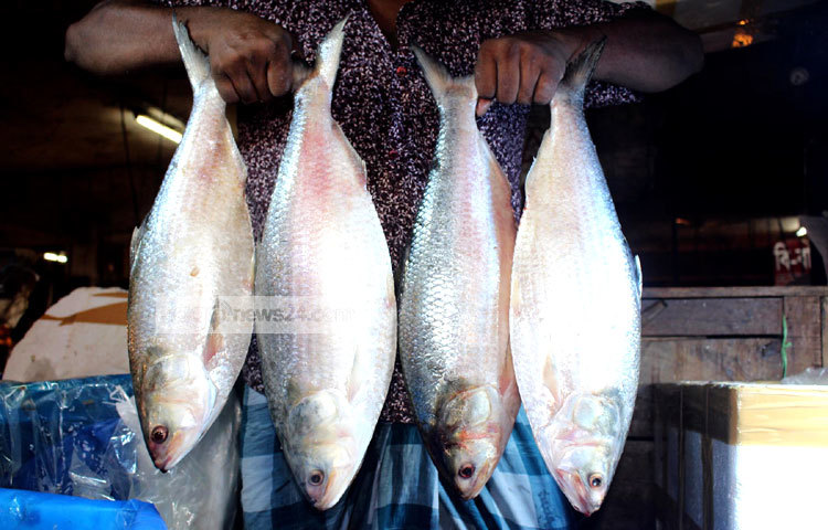 পহেলা বৈশাখের সকালে সবার পাতে পান্তার সঙ্গে অন্তত এক টুকরো হলেও ইলিশের উপস্থিতি চাই-ই চাই। ছবি : বিপ্লব দিক্ষিৎ।