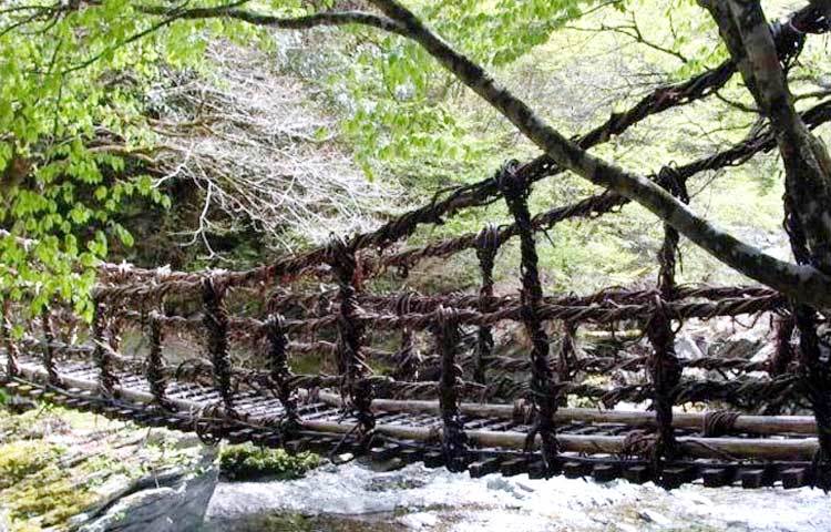 ইয়া ভ্যালি ভাইন ব্রিজ : জাপান প্রযুক্তিতে উন্নত হলেও সে দেশে রয়েছে বিশ্বের অন্যতম বিপজ্জনক এই ব্রিজ।