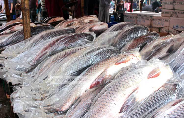 বিক্রির অপেক্ষায় সাজানো মাছের সারি। ছবি : বিপ্লব দিক্ষিৎ।