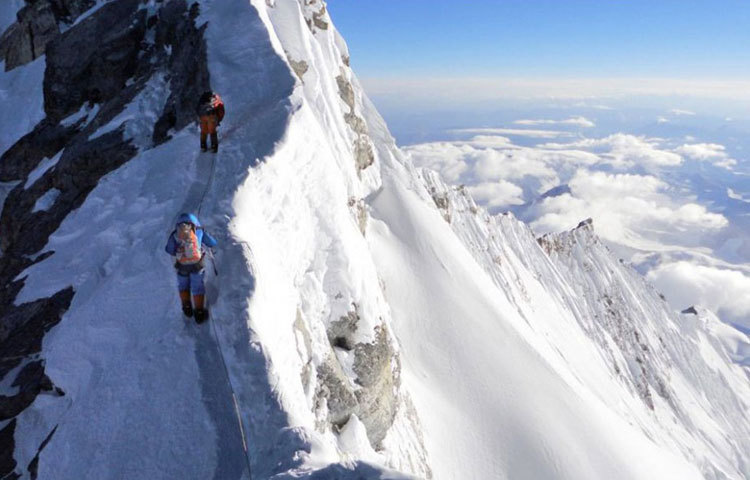 এক গবেষণায় জানা গেছে, মাউন্ট এভারেস্টে এক ধরনের ক্ষুদ্র কালো রংয়ের মাকড়সা বাস করে। এ মাকড়সাগুলো প্রায় ২২ হাজার ফুট উচ্চতায় ঠান্ডায় জমে যাওয়া পোকামাকড় খেয়েই বেঁচে থাকে।