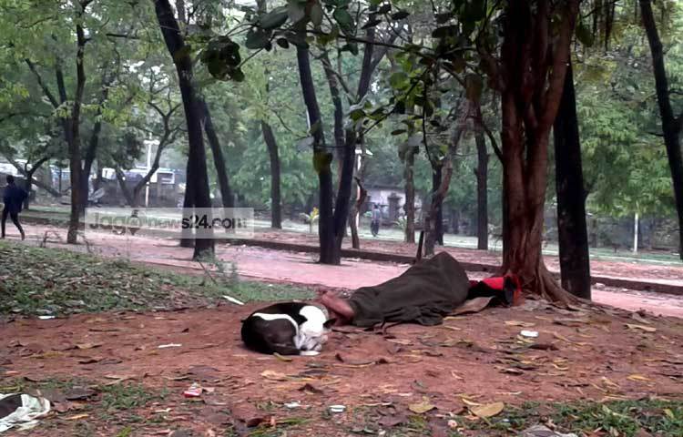যাদের সহায়সম্পদ বলতে কিছুই নেই। মাথা গোঁজার ঠাঁই নেই, তারা পার্কে গাছের তলায় কুকুরের সঙ্গে নিশ্চিন্তে ঘুমিয়ে পড়েন। প্রকৃতির সঙ্গে যেনো এদের নিত্য বসবাস। শহীদ সোহরাওয়ার্দী উদ্যানের শিখা চিরন্তনের অদূরে গাছতলায় এই মানুষটিকে প্রতিদিন সকালে সুখনিদ্রায় শুয়ে থাকতে দেখা যায়। এ ছবিটি তুলেছেন জাগোনিউজের বিশেষ সংবাদদাতা মনিরুজ্জামান উজ্জ্বল।