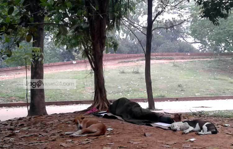 ধনী গরিবের অসম সমাজ ব্যবস্থার বর্তমান সময়ে সম্বলহীনদের আশ্রয় জুটেছে গাছের তলায়। এ ছবিটি তুলেছেন জাগোনিউজের বিশেষ সংবাদদাতা মনিরুজ্জামান উজ্জ্বল।