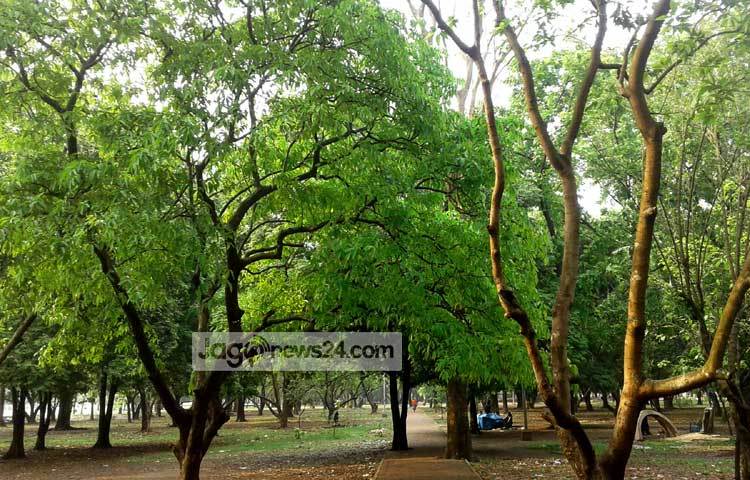 গাছে গাছে ফুটেছে বিচিত্র ফুল। সবুজ প্রকৃতির দিকে তাকালে মুহূর্তেই চোখ জুড়িয়ে যায়। এ ছবিটি তুলেছেন জাগোনিউজের বিশেষ সংবাদদাতা মনিরুজ্জামান উজ্জ্বল।