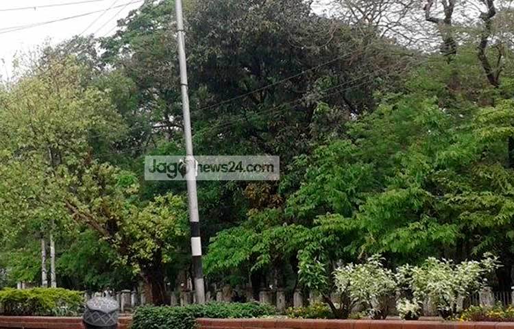 সবুজের মাঝে হারিয়ে যেতে ইচ্ছে করে। এ ছবিটি তুলেছেন জাগোনিউজের বিশেষ সংবাদদাতা মনিরুজ্জামান উজ্জ্বল।