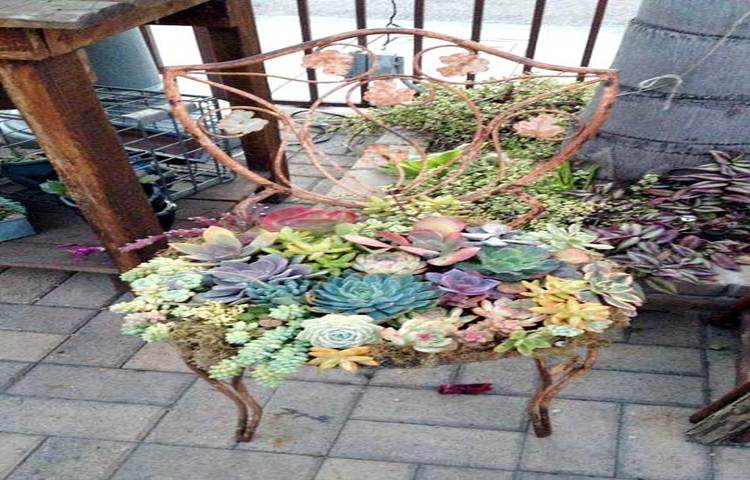 চেয়ারের উপর ফুলের বাগান।