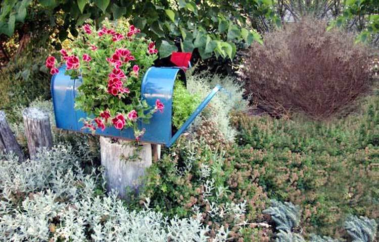 সেলাই মেশিনের ঢাকনায় ফুলের চাষ করা হয়েছে।