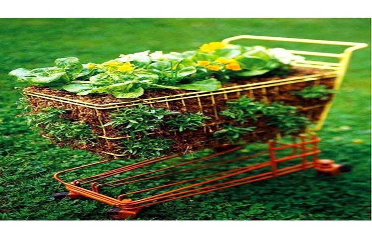 ট্রলিতে সব্জি ও ফুলের বাগান।