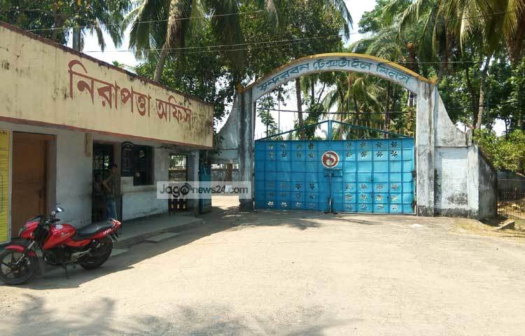 বর্তমানে ১৮শ শ্রমিকের মধ্যে ৩০০ শ্রমিক দৈনিক ৮ ঘণ্টা শ্রমের বিনিময়ে ১৬০ টাকা মজুরী পান। যে মজুরী বর্তমান সময়ে নিতান্তই কম। ফলে মিলের শ্রমিকরা মানবেতর জীবনযাপন করছেন। ছবি : আকরামুল ইসলাম।