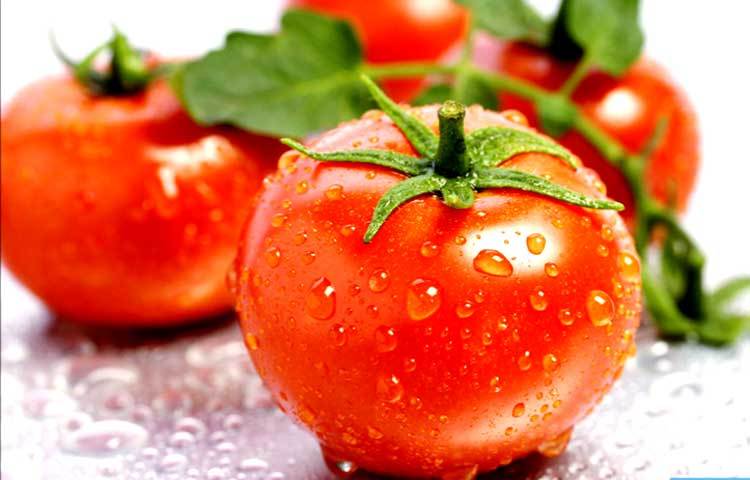 টমেটো : ফ্রিজের শীতল বাতাস টমেটোর স্বাদ কমিয়ে দেয়। তাই স্বাদ অটুট রাখতে টমেটো ফ্রিজে রাখা থেকে দূরে রাখা উচিৎ।
