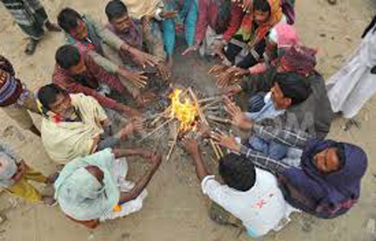 মধ্য মাঘের কাছাকাছি সময়ে শীত যেন ঝেকে বসেছে। জানান দিচ্ছে &lsquo;মাঘের শীত বাঘের গায়ে লাগে&rsquo;!