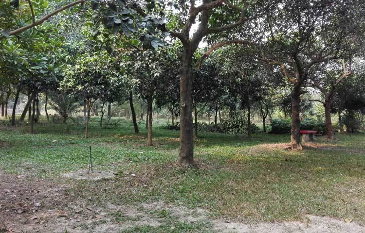 এটকু&nbsp; একটু করে কমতে শুরু করেছে শীত । শীতের দাপটে মানুষের মত প্রকৃতিও কিছুটা চুপসে ছিলো।&nbsp; নিজের অপরূপ সৌন্দর্যে প্রকৃতি আবারও ধরনীকে সাজিয়ে তুলছে। ছবি : বিপ্লব দিক্ষিৎ