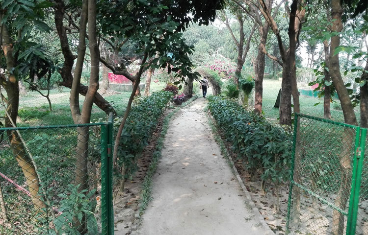 এটকু&nbsp; একটু করে কমতে শুরু করেছে শীত । শীতের দাপটে মানুষের মত প্রকৃতিও কিছুটা চুপসে ছিলো।&nbsp; নিজের অপরূপ সৌন্দর্যে প্রকৃতি আবারও ধরনীকে সাজিয়ে তুলছে। ছবি : বিপ্লব দিক্ষিৎ