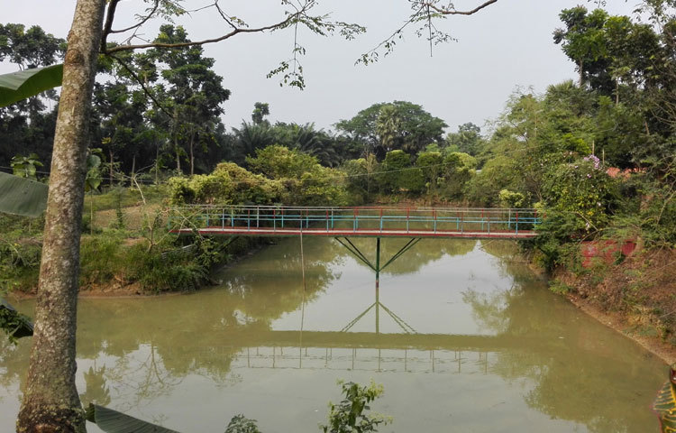 এটকু&nbsp; একটু করে কমতে শুরু করেছে শীত । শীতের দাপটে মানুষের মত প্রকৃতিও কিছুটা চুপসে ছিলো।&nbsp; নিজের অপরূপ সৌন্দর্যে প্রকৃতি আবারও ধরনীকে সাজিয়ে তুলছে। ছবি : বিপ্লব দিক্ষিৎ