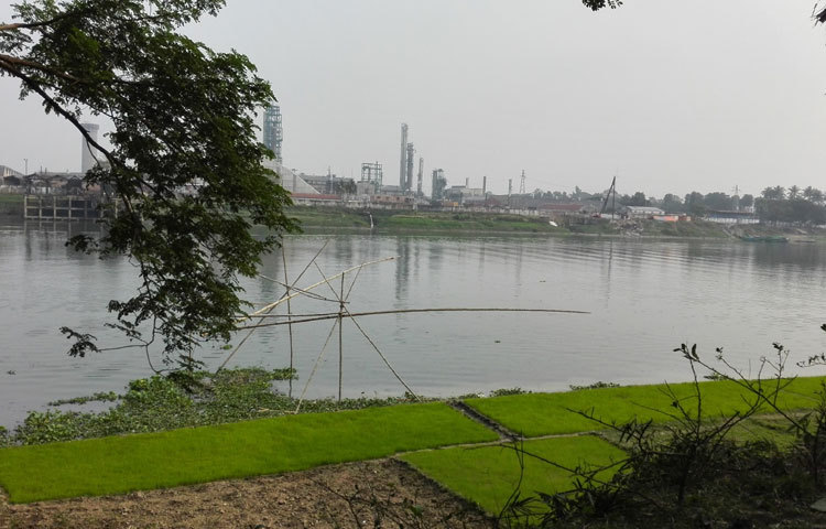 এটকু&nbsp; একটু করে কমতে শুরু করেছে শীত । শীতের দাপটে মানুষের মত প্রকৃতিও কিছুটা চুপসে ছিলো।&nbsp; নিজের অপরূপ সৌন্দর্যে প্রকৃতি আবারও ধরনীকে সাজিয়ে তুলছে। ছবি : বিপ্লব দিক্ষিৎ