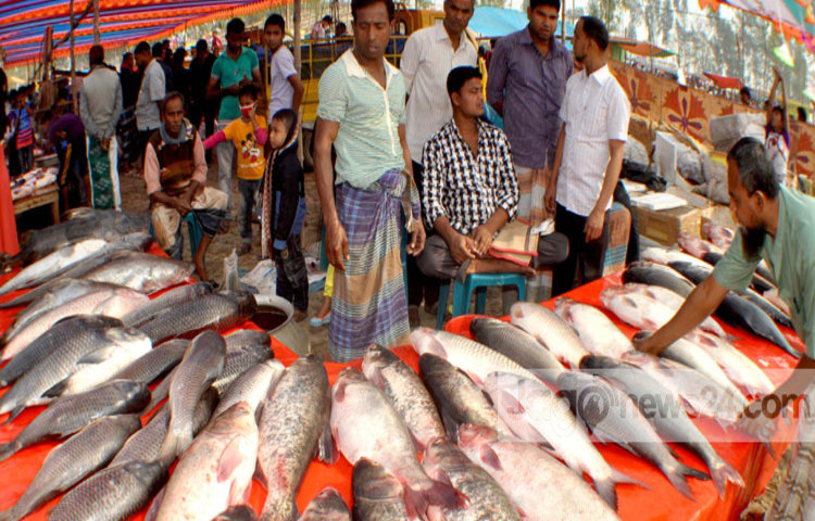 bogra-fish-fair