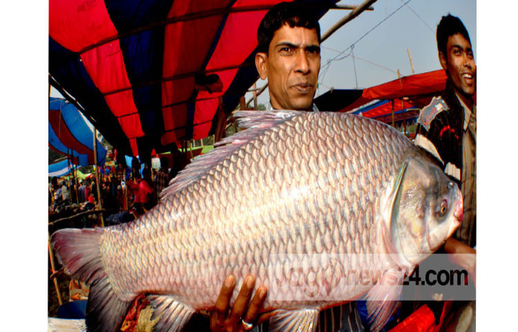 bogra-fish-fair