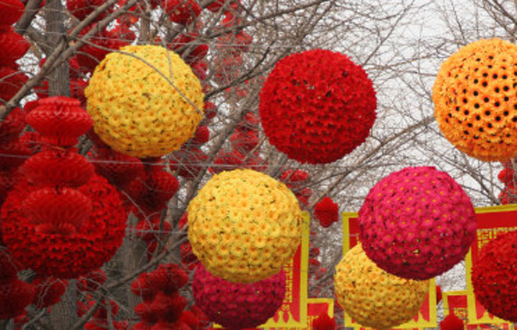 বিভিন্ন সড়ক নানা রঙের ফুলে সাজানো হয়েছে।