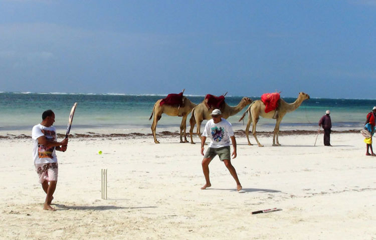 মরুর বুকে চলছে ক্রিকেট টুর্নান্টে। উট চড়াতে এসেও ভুলছেন ক্রিকেট খেলতে।