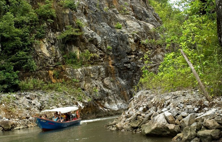 মালয়শিয়ার নয়নাভিরাম কিলিম জিওফরেস্ট। এখানে প্রতিদিন দেশীবিদেশী অগনন পর্যটক এসে ভীড় করে।