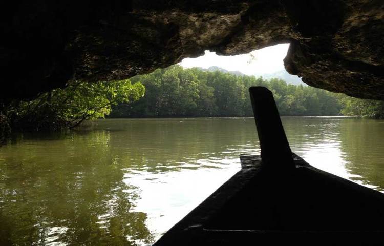 মালয়শিয়ার নয়নাভিরাম কিলিম জিওফরেস্ট। এখানে প্রতিদিন দেশীবিদেশী অগনন পর্যটক এসে ভীড় করে। এখানকার প্রাকৃতিক সৌন্দর্য যে কাউকে মুগ্ধ করে।