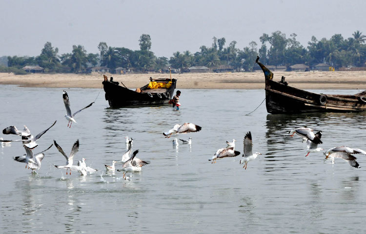 জেলে আর পাখিদের জীবন। ছবি: বিপ্লবি দিক্ষিৎ