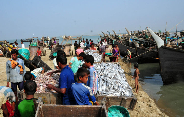 ছবি: বিপ্লবি দিক্ষিৎ