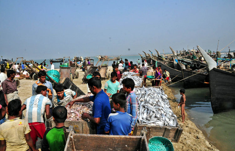 ছবি: বিপ্লবি দিক্ষিৎ