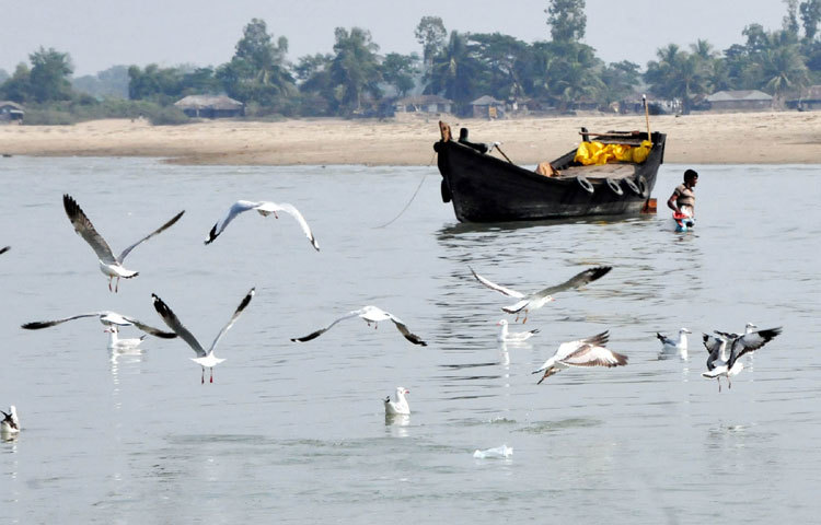 ছবি: বিপ্লবি দিক্ষিৎ