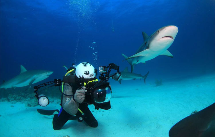 আবু-বিন-তালাথ দুবাইয়ের উপকূলীয় অঞ্চলে বেড়ে উঠেছেন। বর্তমানে তিনি সামুদ্রিক বিচিত্র প্রাণীর জীবন যাপন নিয়ে চলচ্চিত্র নির্মাণ করছেন। পাশাপাশি এসব প্রাণীর ফটোগ্রাফীও করছেন। ছবি : বিবিসি