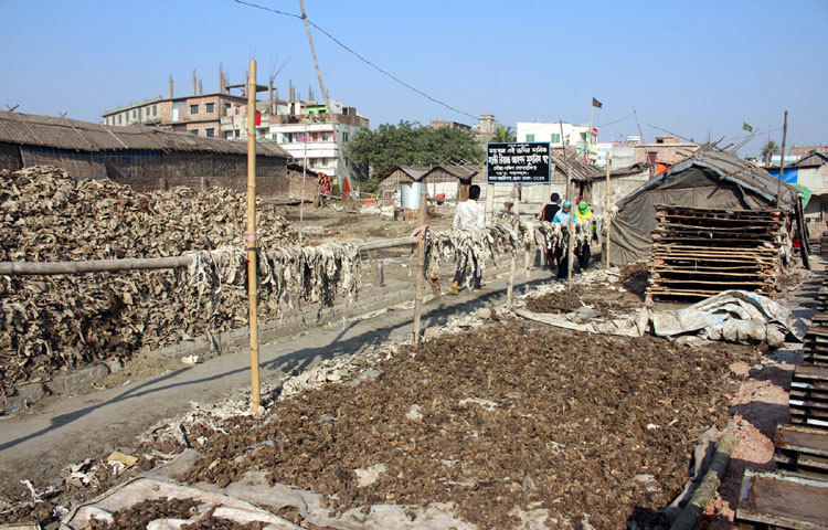 রাজধানীর হাজারীবাগের চামড়া শিল্প। অপরিকল্পিতভাবে গড়ে ওঠা এই শিল্পের দূষণ জনস্বাস্থ্যের জন্য হুমকি হয়ে দাঁড়িয়েছে। ছবি : বিপ্লব দিক্ষিৎ