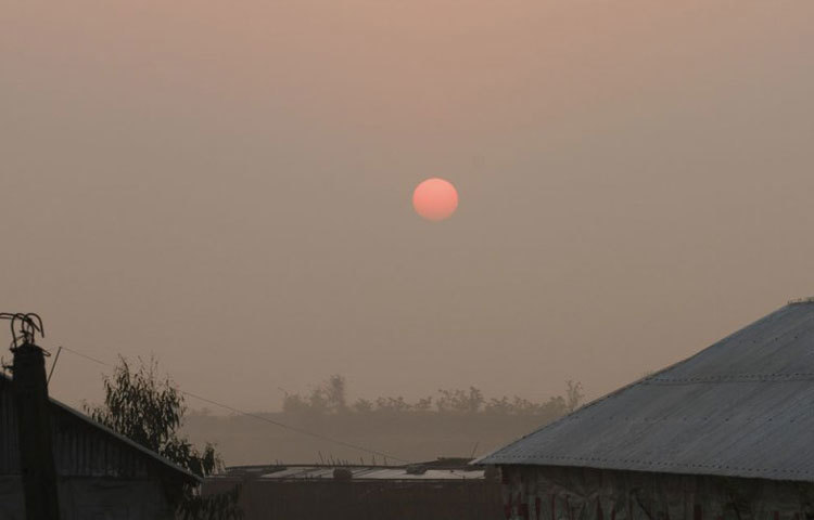 শীত, সূর্য ও কুয়াশার মাখামাখি।ছবি : বিপ্লব দিক্ষিৎ