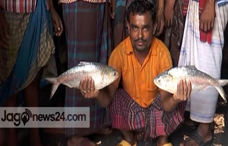 barguna-ilish-