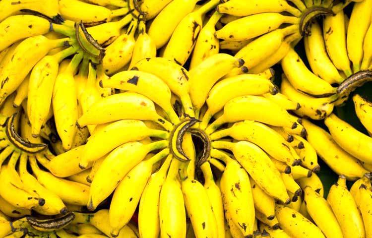 কলা : কলার মধ্যে রয়েছে প্রচুর পরিমাণে আয়রন। রক্তে হিমোগ্লোবিন তৈরিতে সাহায্য করে। 