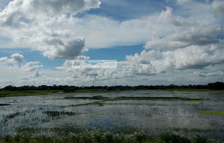 নির্মল নীলাকাশ। তাতে গুচ্ছ গুচ্ছ শুভ্র মেঘের আনাগোনা। দূরে দুধেল সাদা কাশের বনে পাগলা হাওয়ার মাতামাতি। ছবি : রবিউল ইসলাম পলাশ।