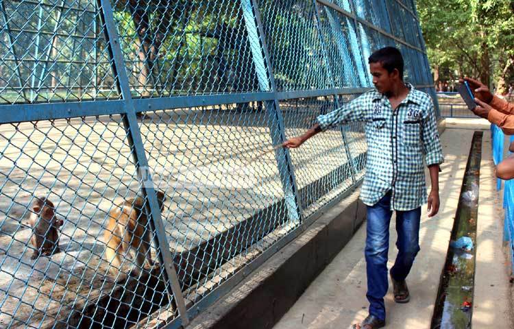 বানরের সঙ্গে বাঁদরামি করছেন চিড়িয়াখানায় আসা একজন দর্শক। অন্যদিকে কেউ কেউ এ দৃশ্য মোবাইলের ক্যামেরায় ধারণ করছেন। ছবি : বিপ্লব দিক্ষিৎ।