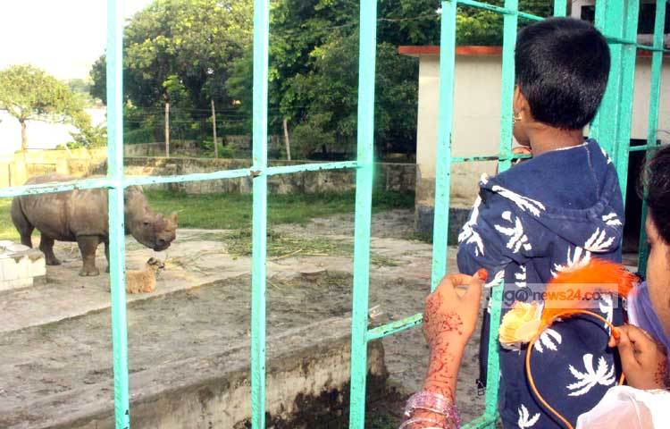 খাঁচা ধরে জলহস্তি দেখায় মগ্ন এক শিশু। ছবি : বিপ্লব দিক্ষিৎ।