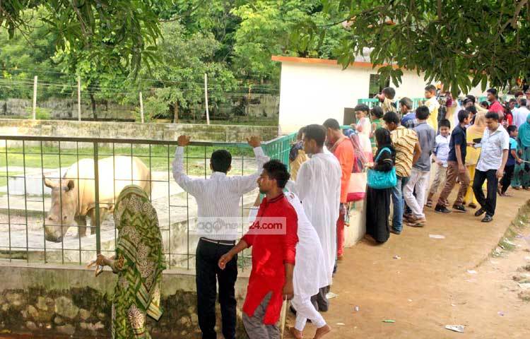 চিড়িয়ানায় ভ্রমণের পাশাপাশি আনন্দের পাশাপাশি অনেক জ্ঞানও লাভ করা যায়। ছবি : বিপ্লব দিক্ষিৎ।