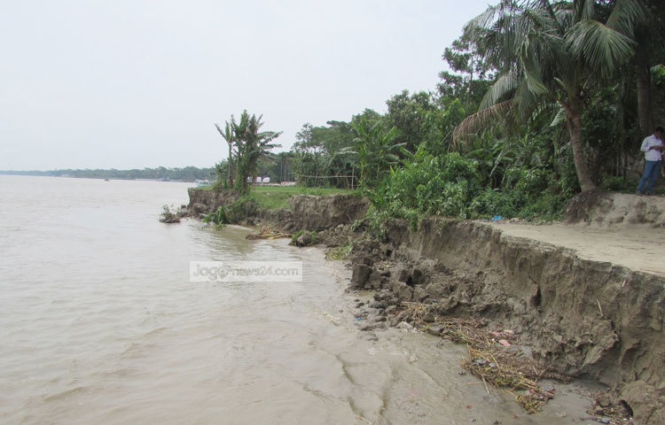পদ্মার সর্বগ্রাসী আচরণ। ছবি : মো. ছগির হোসেন।