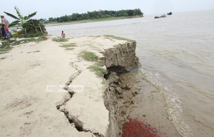 এভাবেই পদ্মার বুকে বিলীন হচ্ছে চিরচেনা অনেক জনপথ। ছবি : মো. ছগির হোসেন।