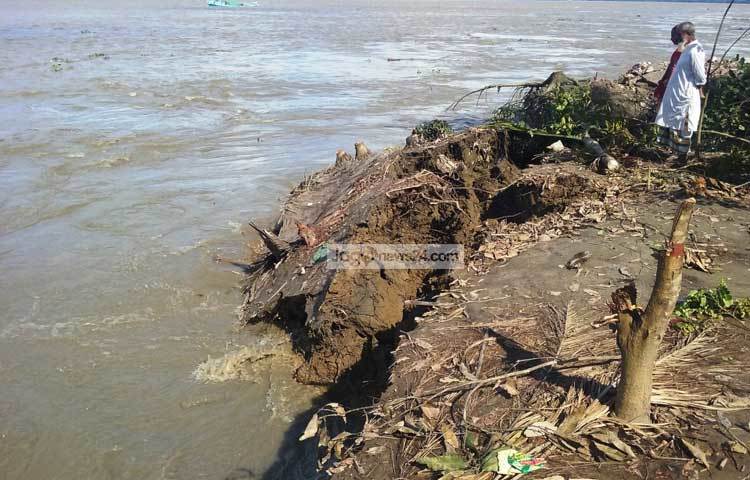এবার কুন্ডেরচর ইউনিয়নের কলমির চর রিয়াজ উদ্দিন মাদবরের কান্দি ও বেপারী কান্দি এ দুটি গ্রামও পদ্মার ভাঙনের কবলে পড়েছে। ছবি : মো. ছগির হোসেন।