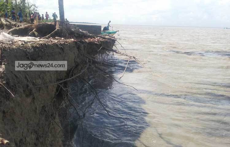 সর্বগ্রাসী পদ্মার ভাঙন কিছুতেই থামছে না। এভাবেই পদ্মার বুকে বিলীন হচ্ছে সবুজ মাঠ-ঘাট। ছবি : মোঃ ছগির হোসেন।