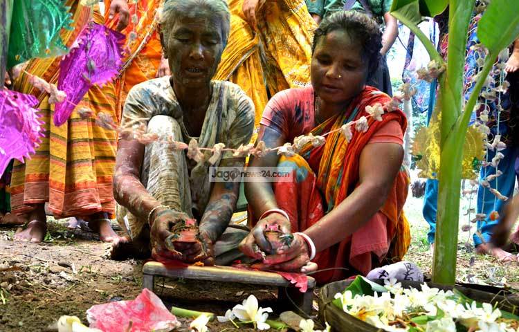 ব্যাঙের বিয়েতে গ্রামবাসীসহ প্রায় ৫০০ আমন্ত্রিত অতিথি উপস্থিত ছিলেন। রং মেখে নেচে-গেয়ে ব্যাঙের বিয়ে দেয়া হয়। ছবি : এমদাদুল হক মিলন।