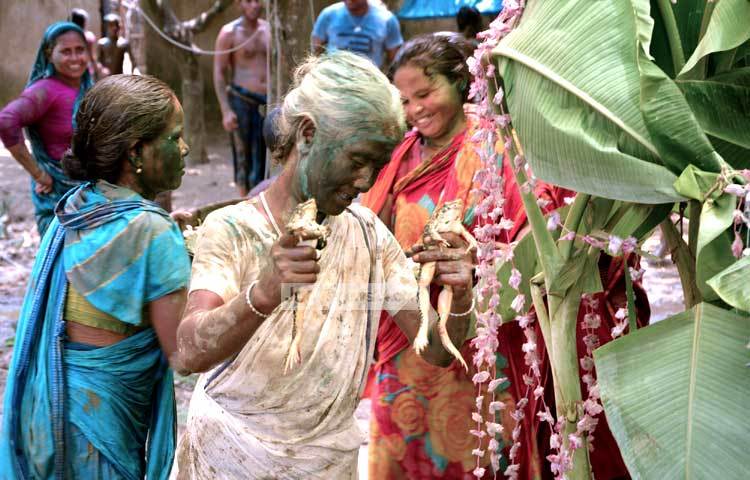 ব্যাঙের বিয়ে উপলক্ষে কলাগাছ ও ফুল দিয়ে সাজানো মাড়োয়ায় সকাল থেকে গ্রামবাসী আসতে শুরু করে। ছবি : এমদাদুল হক মিলন।