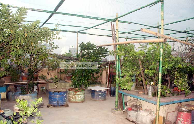 বাড়ির ছাদে এমন সবুজ বাগান থাকলে অবসরে ভালো সময় কাটানো যায়। তাছাড়া এ বাগানে কাজ করে অলস সময়ও পার করা যায়। ছবি : বিপ্লব দিক্ষিৎ।