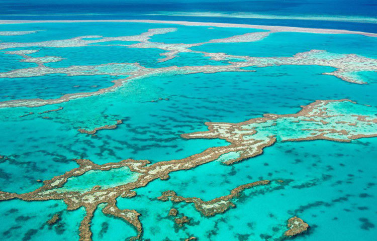 গ্রেট বেরিয়ার রিফ : অস্ট্রেলিয়ার এই গ্রেট বেরিয়ার রিফ পৃথিবীর সর্ববৃহৎ প্রবাল প্রাচীর হিসেবে বিবেচিত।
