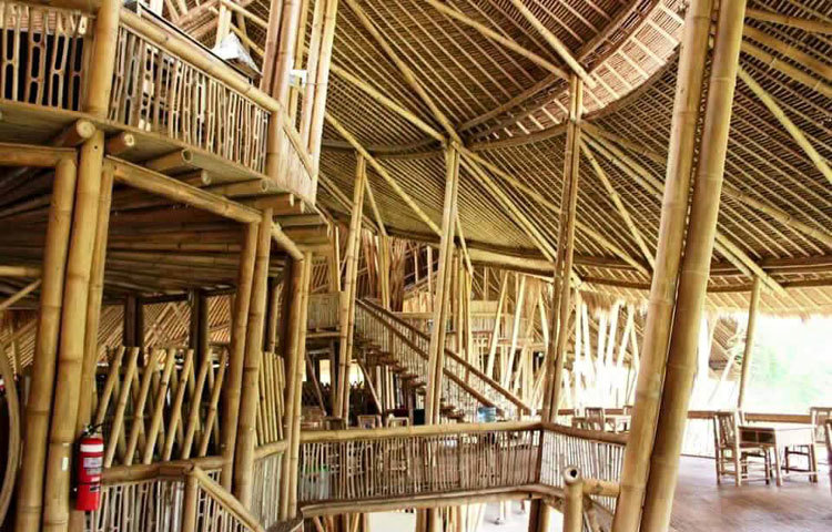 ইন্দোনেশিয়ার গ্রিন ভিলেইজ নামের একটি গ্রামে মানুষের বসবাসের ঘর বাড়িসহ সব ধরনের আসবাবপত্র বাঁশ দিয়ে তৈরি হয়।