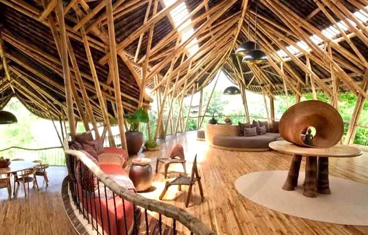 গ্রিন ভিলেজের বাসিন্দার মনে করেন বাঁশ হচ্ছে সবচেয়ে পরিবেশ বান্ধব উদ্ভিদ।