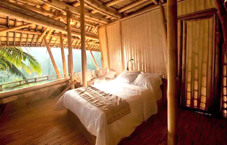 তাই সব কাজে তারা বাঁশ ব্যবহার করে থাকেন।