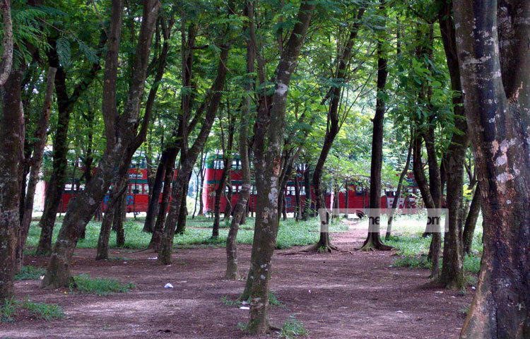 জাহাঙ্গীরনগর বিশ্ববিদ্যালয় বাংলাদেশের পাবলিক বিশ্ববিদ্যালয়গুলোর অন্যতম। এটি বাংলাদেশের একমাত্র পূর্ণাঙ্গ আবাসিক বিশ্ববিদ্যালয়। ছবি : রবিউল ইসলাম পলাশ।