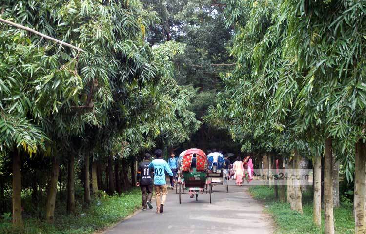 ঘনসবুজ গাছপালায় আবৃত বন্ধুর ও সমতল ভূমিতে স্থাপিত বিশ্ববিদ্যালয়ের লাল ইটের অবকাঠামোগুলো সহজেই দৃষ্টি&nbsp; কেড়ে নেয়। ছবি : রবিউল ইসলাম পলাশ।
